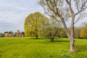 Photo 25- click for photo gallery